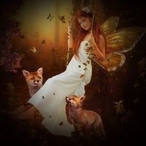 Meet your Posher, Holly